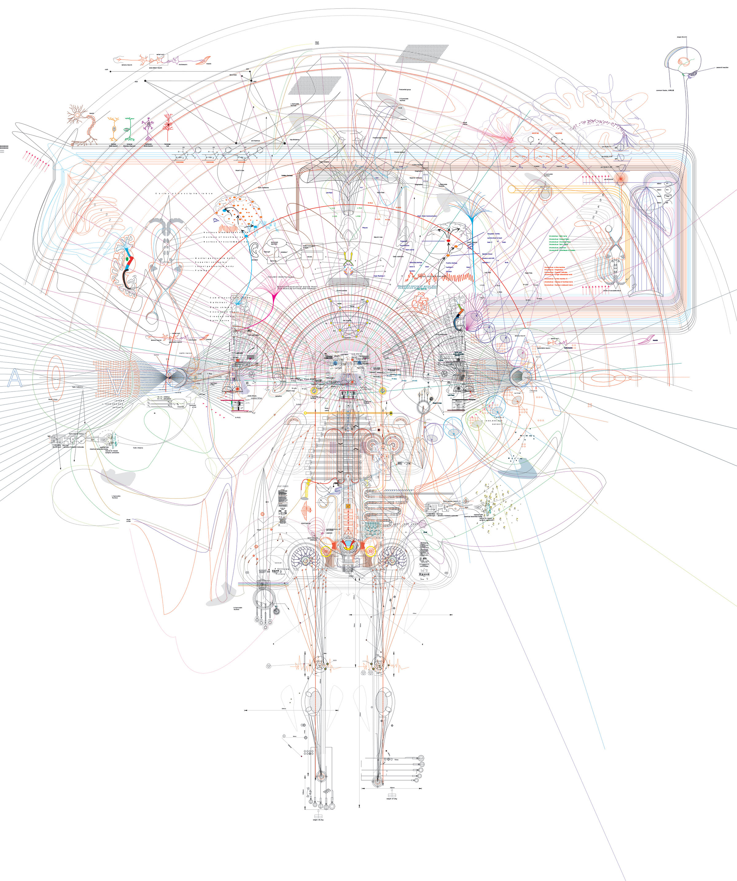A Diagram of Somnolence